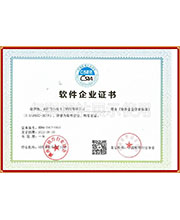 軟件企業(yè)證書(shū)